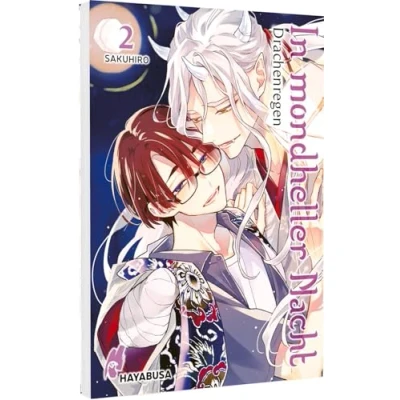 Abbildung von In mondheller Nacht 2 Drachenregen: Dämonenstarker Fantasy Boys Love ab 18!