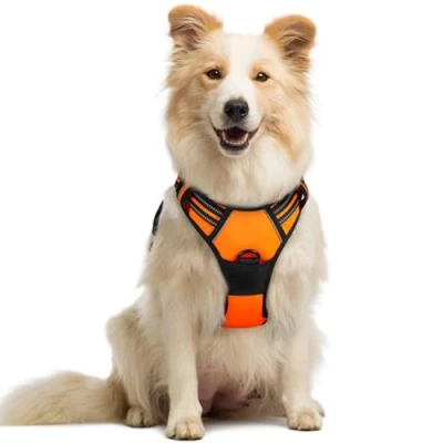 Abbildung von rabbitgoo Hundegeschirr Mittelgroße Hunde Anti Zug Geschirr Hund mit Kontrolle No Pull Verstellbar Grosse Atmungsaktiv Reflexstreifen Brustgeschirr Sichere Führung Orange M
