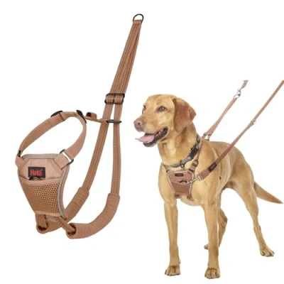 Abbildung von HALTI No Pull Anti Zug Geschirr Verhindert, DASS Ihr Hund an der Leine zieht, Gepolsterter Brust und Beingurt, Reflektierendes Gurtmaterial, Einfache Anpassung Benutzung (Größe M, Wüstensand)
