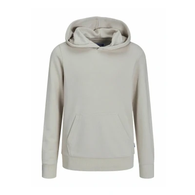 Abbildung von JACK&amp;JONES JUNIOR Jjebradley Sweat Hood Noos Jnr