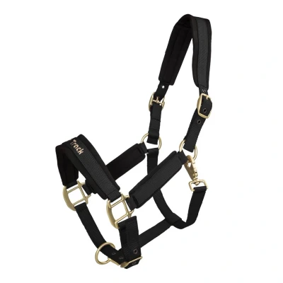 Abbildung von Back on Track Werano Halter
