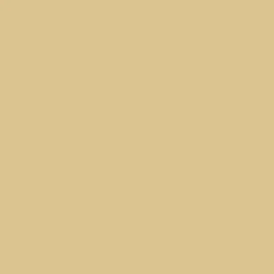 Abbildung von plottiX Perm. Vinylfolie 31,5cm x 1m Beige