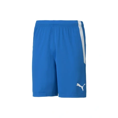 Abbildung von puma Teamliga Football Shorts, Herren, Größe: Medium, Peacoat white