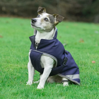 Abbildung von Bucas Freedom Dog Blanket