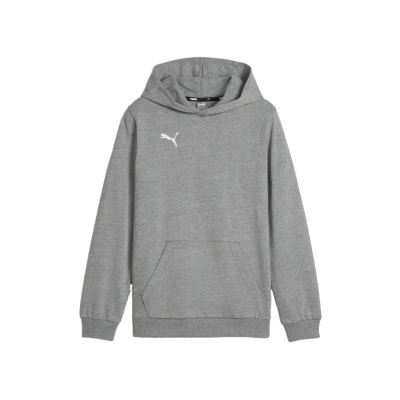 Abbildung von PUMA teamGOAL Casuals Hoody Jr