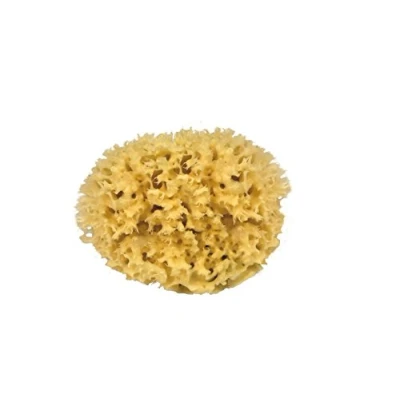 Abbildung von Croll &amp; Denecke M080 Naturschwamm aus dem mittelmeer, Mediumqualität, Größe 8 cm, 1er Pack