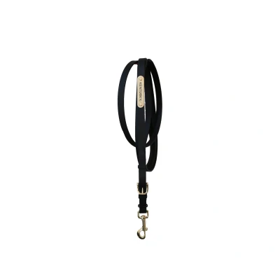 Abbildung von Kentucky Presentation Lead Black