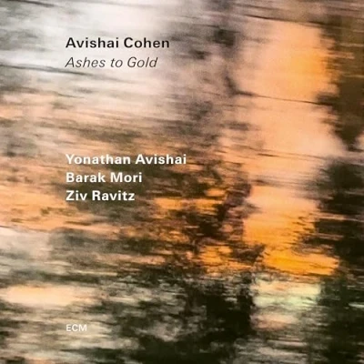 Abbildung von Ashes to Gold