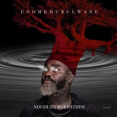 Abbildung von Unomkhubulwane [Vinyl LP]