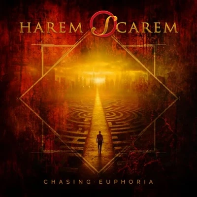 Abbildung von Chasing Euphoria [Vinyl LP]