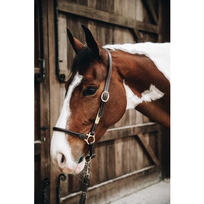 Abbildung von Kentucky Leather Grooming Halter