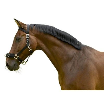 Abbildung von Kerbl Kunststoff WB Longierhalfter, Schwarz, Warmblut