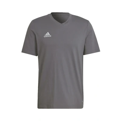 Abbildung von adidas Performance Entrada TEE Tshirt print, Herren, Größe: Large, Grey