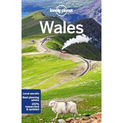 Abbildung von Lonely Planet Wales: written and researched by Kerry Walker, Peter Dragicevich, Anna Kaminksi Luke Waterson (Travel Guide)