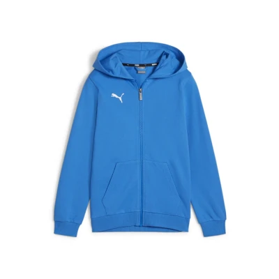 Abbildung von PUMA teamGOAL Casuals Hooded Jacket Jr