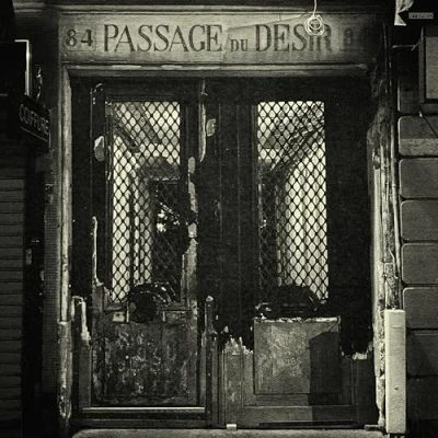 Abbildung von Passage Du Desir