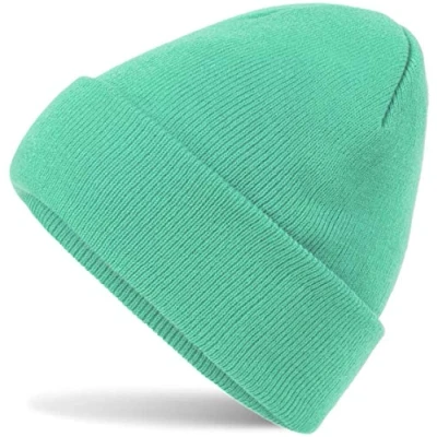 Abbildung von HatStar Wintermütze Damen Beanie Mütze Herren Feinstrick für Frauen Männer Unisex Cuffed Hats Weich &amp; Warm (Mint)