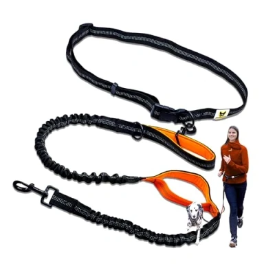 Abbildung von Hundefreund Joggingleine für große Hunde ab 15 kg Elastische Freihandleine mit leichtem Bauchgurt Abnehmbare Hundeleine 2 weichen Schlaufen Orange Laufleine (120 cm, dehnbar bis 170 cm)