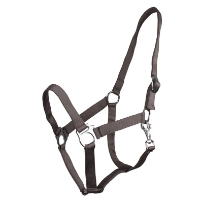 Abbildung von Q essentials Halter Slide