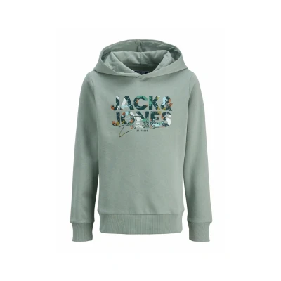 Abbildung von Jack &amp; Jones Junior Jjgeplas HOOD Kapuzenpullover für Kinder, Größe: 164, Iceberg green