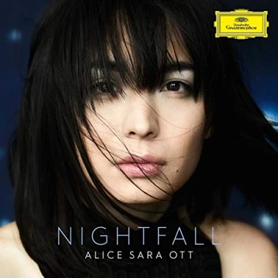 Abbildung von Nightfall