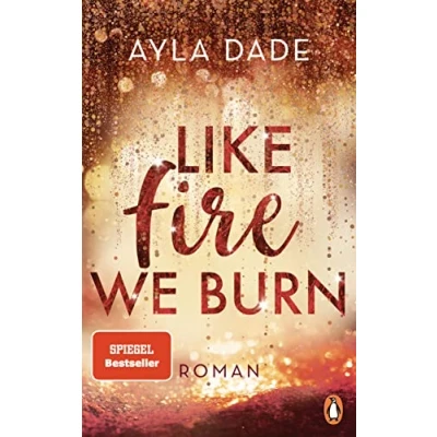 Abbildung von Like Fire We Burn: Roman. Knisternde New Adult Bestsellerromantik (Die Winter Dreams Reihe, Band 2)