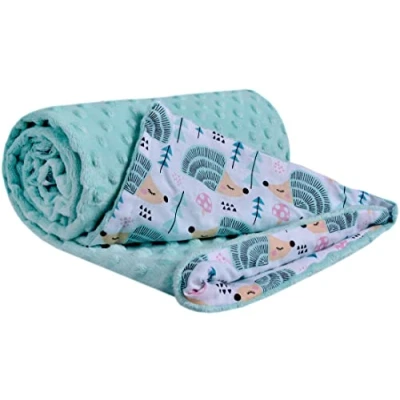 Abbildung von Medi Partners Krabbeldecke 100% Baumwolle 75x100cm doppelseitig multifunktional Minky Kuscheldecke für Kinderwagen weich flauschig (Minze Igel mit minzer Minky)