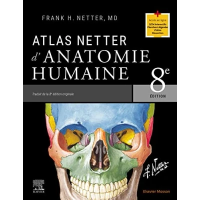 Abbildung von Atlas Netter d&#039;anatomie humaine