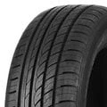 Abbildung von Double Coin Dc99 195/55 R16 91H XL