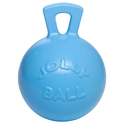 Abbildung von Jolly Ball 25cm with a tasty smell!