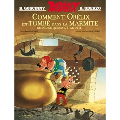 Abbildung von Astérix Comment Obélix est tombé dans la marmite du druide quand il était petit: Bandes dessinées (Astérix Les Albums illustrés, 1)