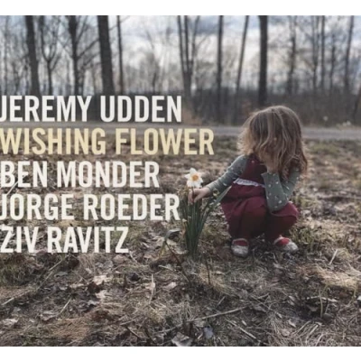 Abbildung von Wishing Flower