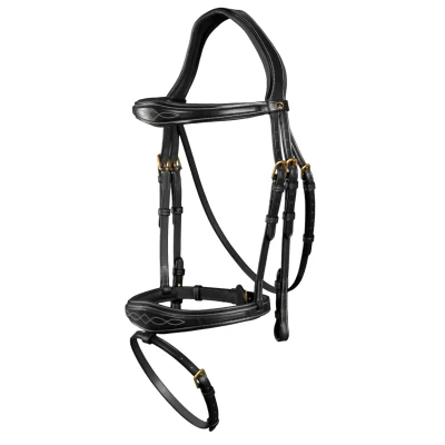 Abbildung von Dyon Anatomic Flash Noseband Bridle D Collection