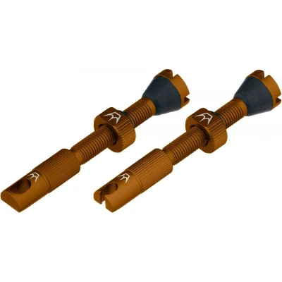 Abbildung von Tubeless Valves Mkii 60mm