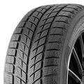 Abbildung von Double Star Dw09 Winterking 215/45 R17 91T XL