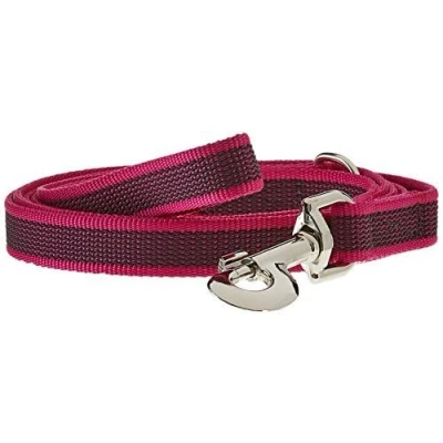 Abbildung von IDC Color &amp; Gray gumierte Leine, 20 mm x 2 m mit Schlaufe und D Ring, Pink Grau